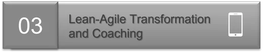 Lean-Agile Transformation and Coaching